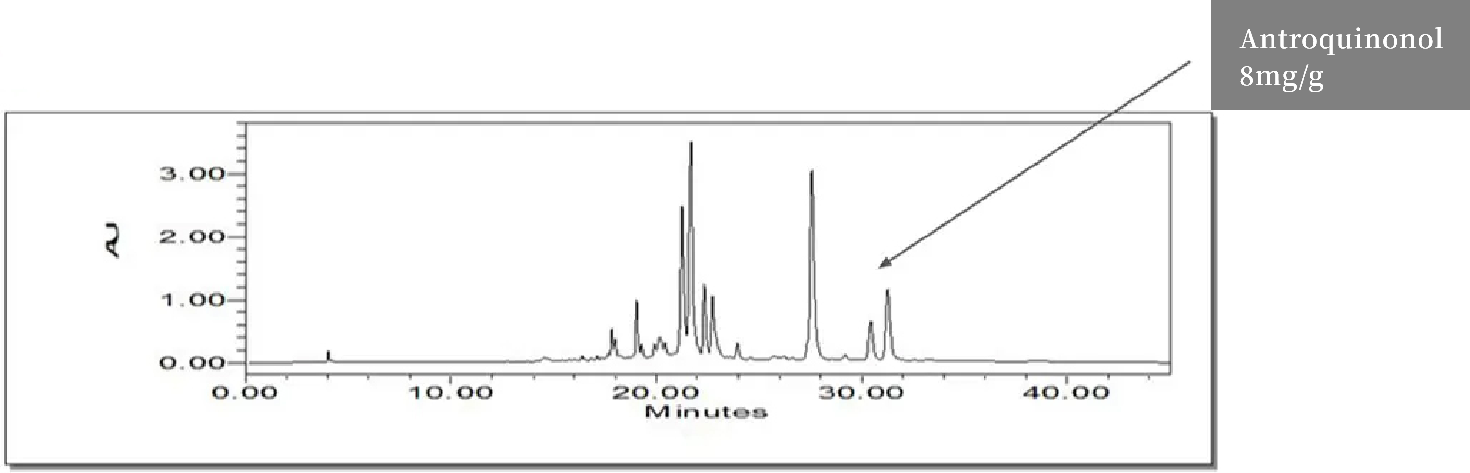 Golden Biotechのベニクスノキタケ