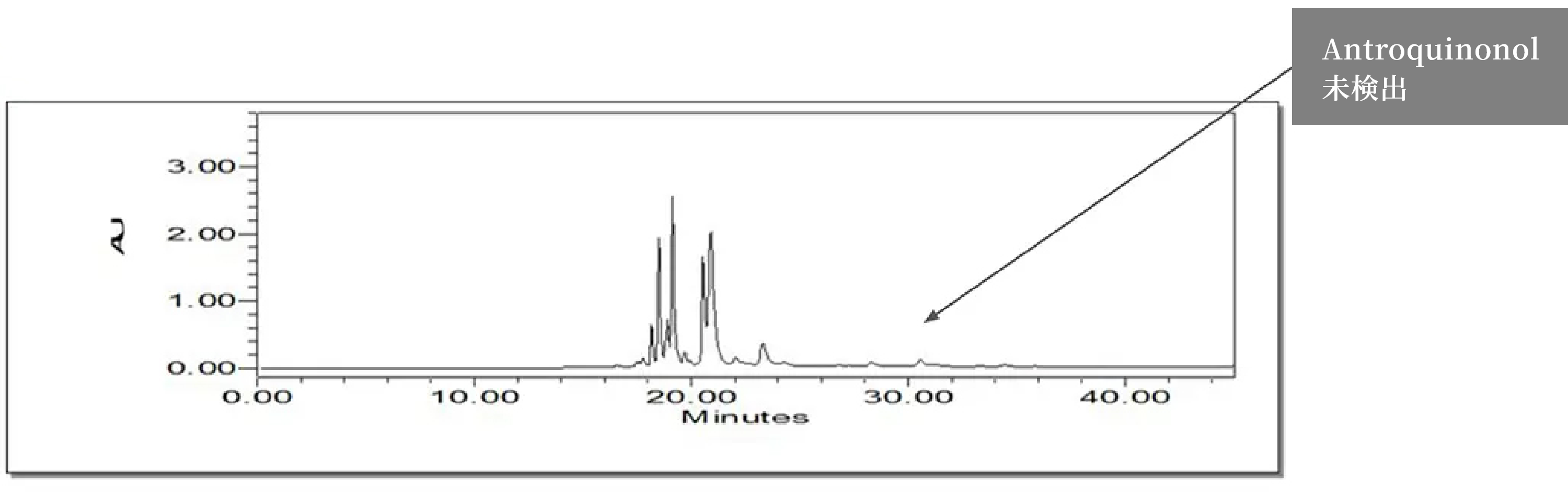 野生のベニクスノキタケ