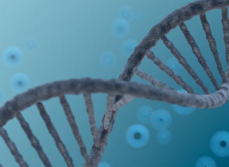 DNA鑑定により最高品質のベニクスノキタケを厳選