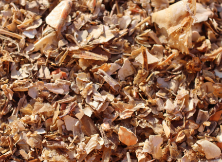 菌糸体1,000kg低温凍結乾燥し粉砕